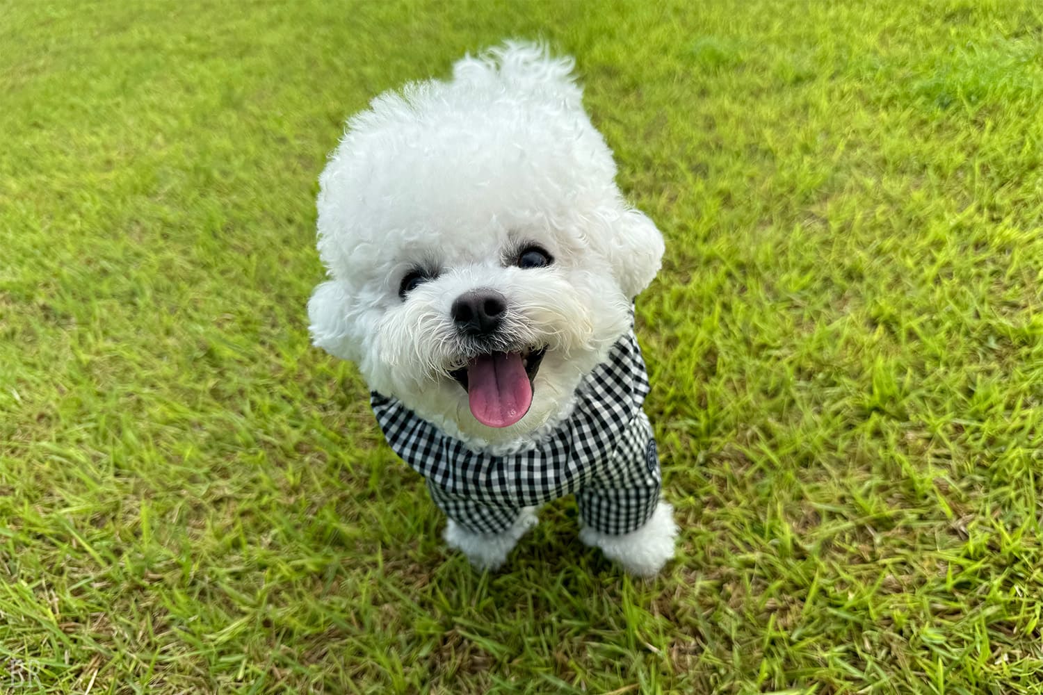 8 types of dome-shaped tents